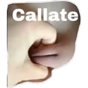 ஸ்டிக்கர்