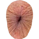 Կպչուն պիտակ