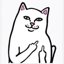 Կպչուն պիտակ