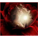 Կպչուն պիտակ