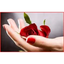 Կպչուն պիտակ